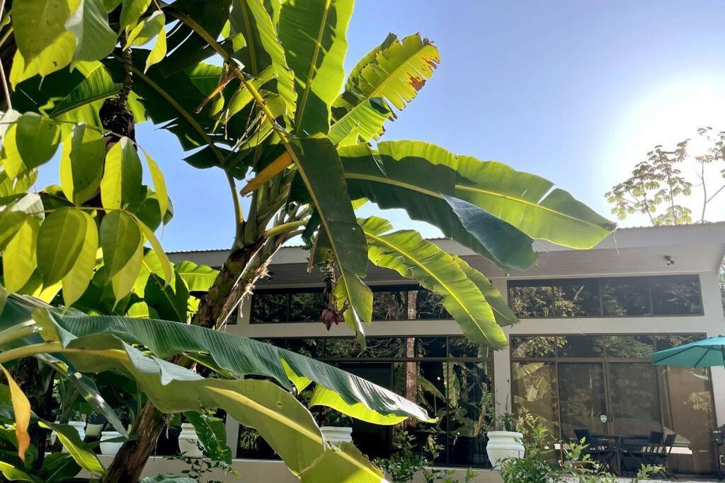 An Abundance Of Wildlife At Jungle Glory Home Abajo Manuel Antonio Exterior photo