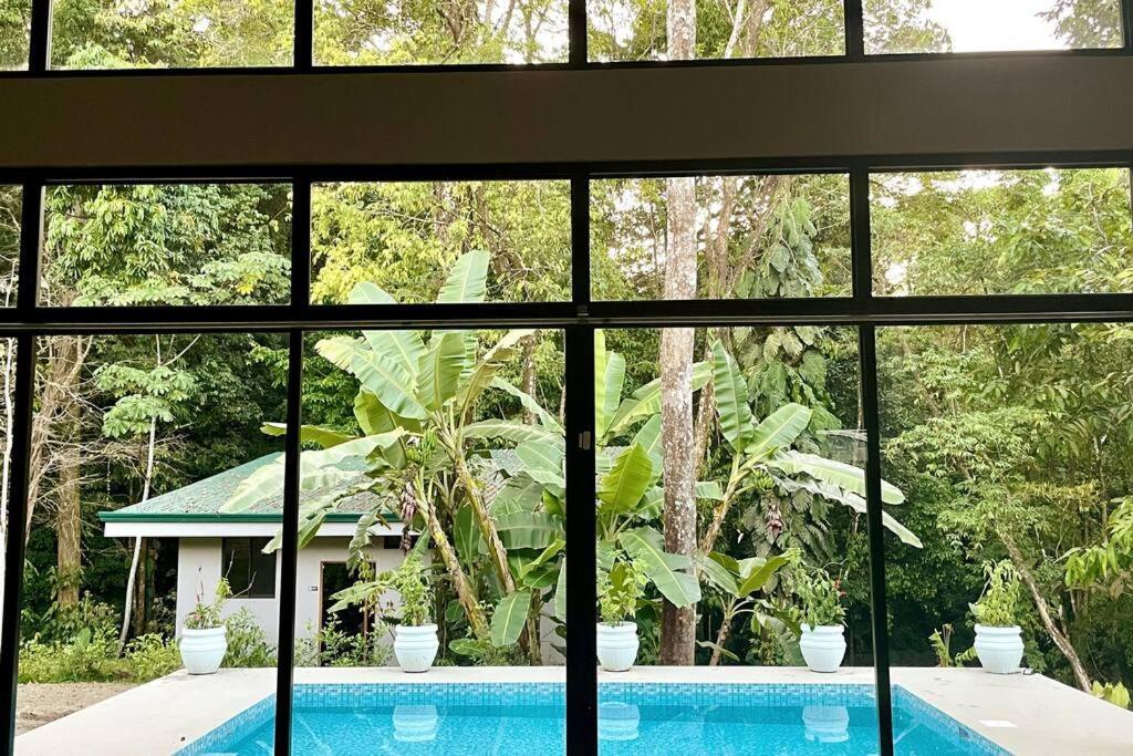 An Abundance Of Wildlife At Jungle Glory Home Abajo Manuel Antonio Exterior photo