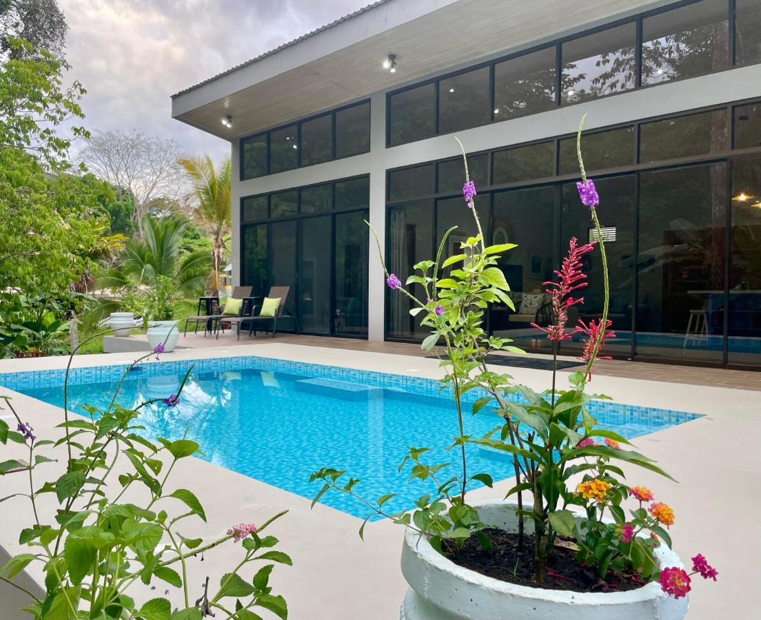 An Abundance Of Wildlife At Jungle Glory Home Abajo Manuel Antonio Exterior photo