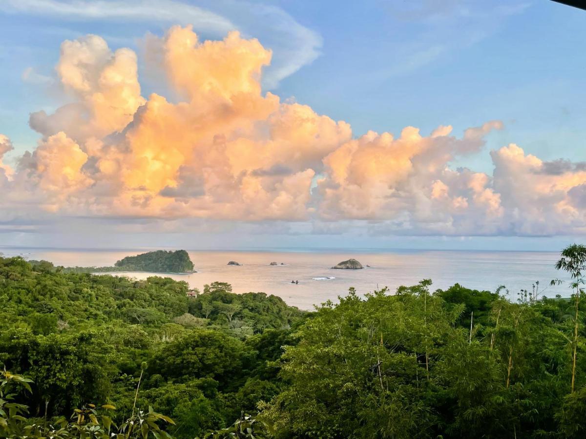 An Abundance Of Wildlife At Jungle Glory Home Abajo Manuel Antonio Exterior photo